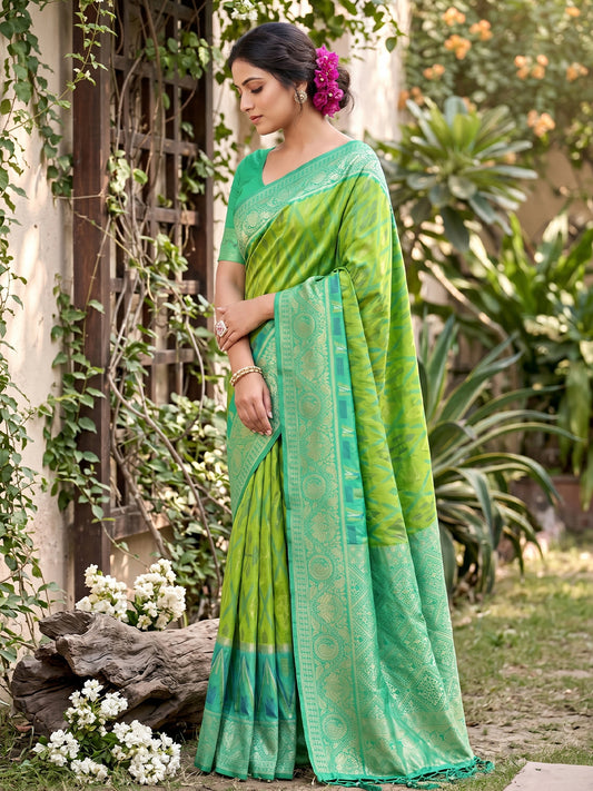 Sutriti Light Green Pochampalli Silk Saree | Elegant Traditional Wedding & Festive Wear Saree