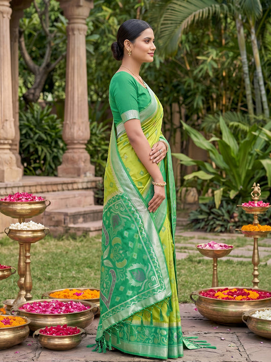 Sutriti Light Green Pochampalli Silk Saree | Elegant Traditional Wedding & Festive Wear Saree