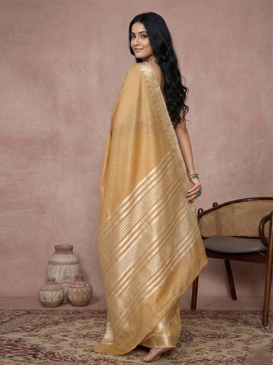 Sutriti golden beige tissue silk gold zari border wedding saree minimal border collection