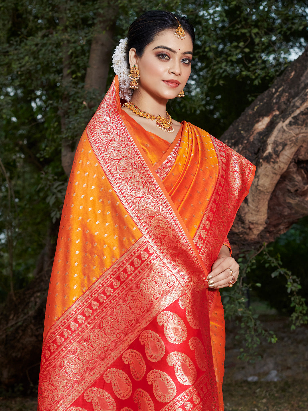 Sutriti Mustard Banarasi Silk Saree with Red Zari Border & Golden Butta | Wedding & Festive Wear