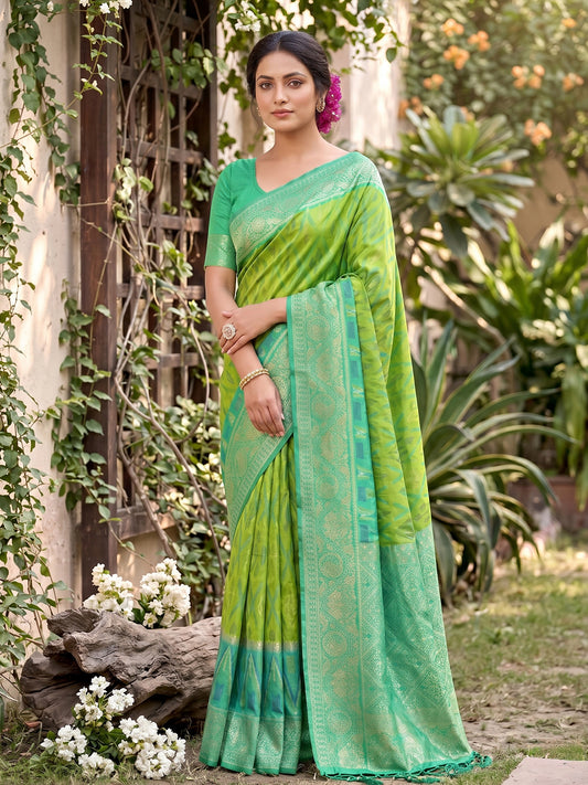 Sutriti Light Green Pochampalli Silk Saree | Elegant Traditional Wedding & Festive Wear Saree