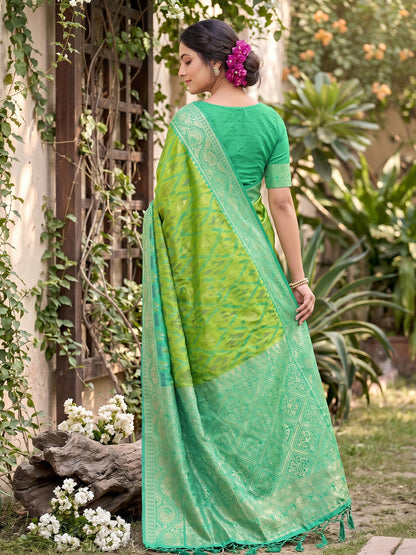 Sutriti Light Green Pochampalli Silk Saree | Elegant Traditional Wedding & Festive Wear Saree