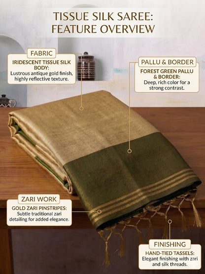 Sutriti Women Beige & Olive Green Solid Tissue Silk Saree with Zari Border